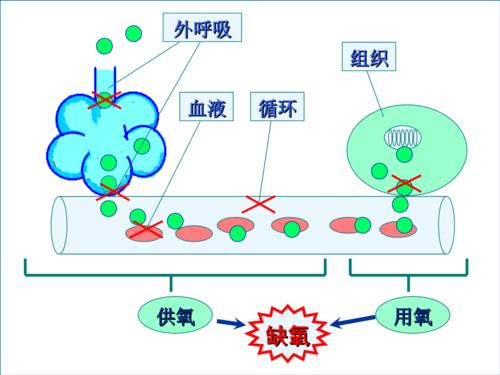 缺氧如何种植一片草木灰-缺氧怎么种泥土