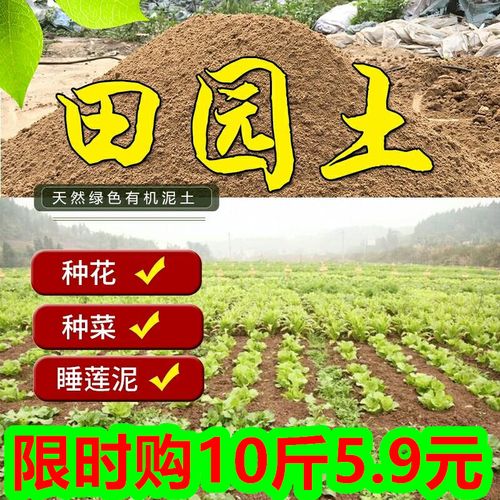 广州种植泥土出售信息平台-广州种植泥土出售信息平台电话