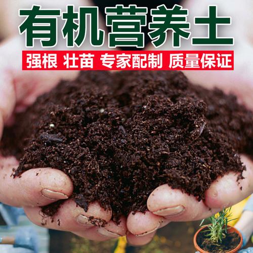 广州种植泥土出售信息平台-广州种植泥土出售信息平台电话