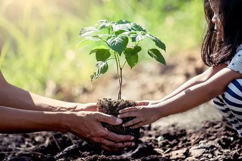 新泰扶瑶种植农场招聘信息-新泰扶瑶种植农场招聘信息电话