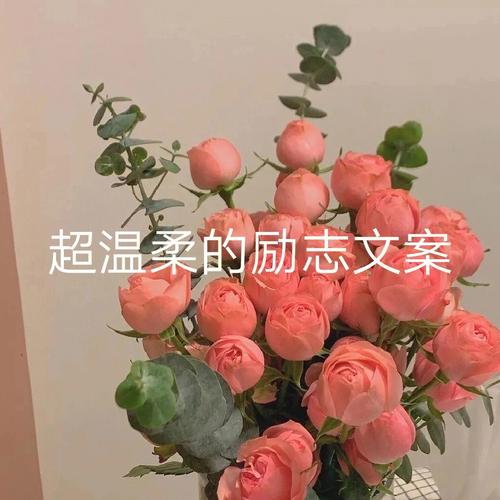 花卉知识文案励志学习-花卉朋友圈宣传的句子