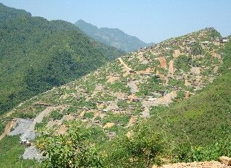 花甲山种植园项目招标信息-花甲乡花甲村