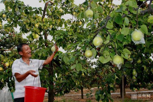 滨州市种植园招聘信息最新-滨州农业园