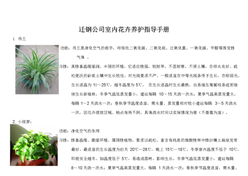 养植物花卉知识培训总结-花卉养护培训