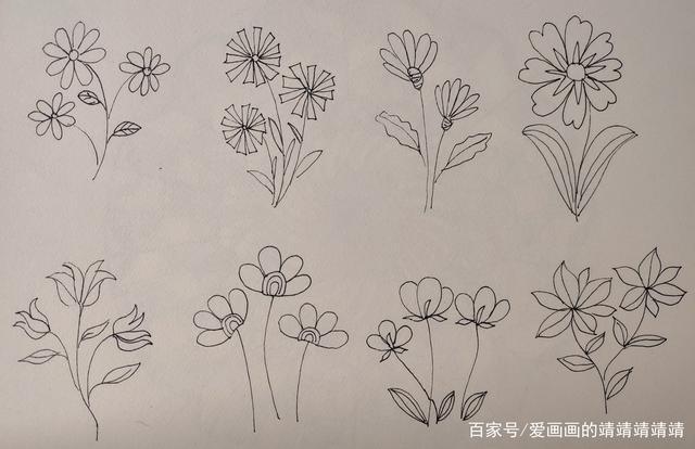 花卉简笔画基础知识点总结-花卉简笔画基础知识点总结图