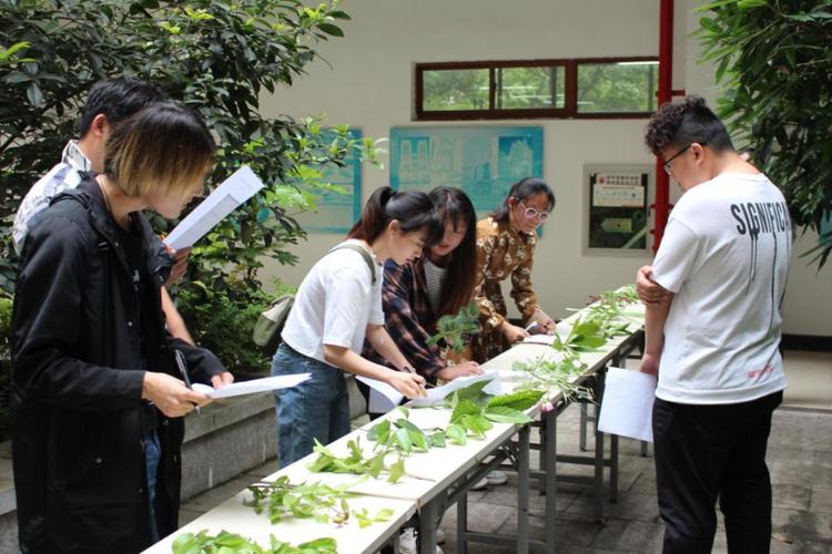 花卉知识竞赛排版设计教程-花卉知识竞赛活动