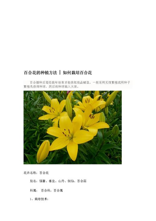 春季草木花种植方法及时间-春季花草树木如何养护