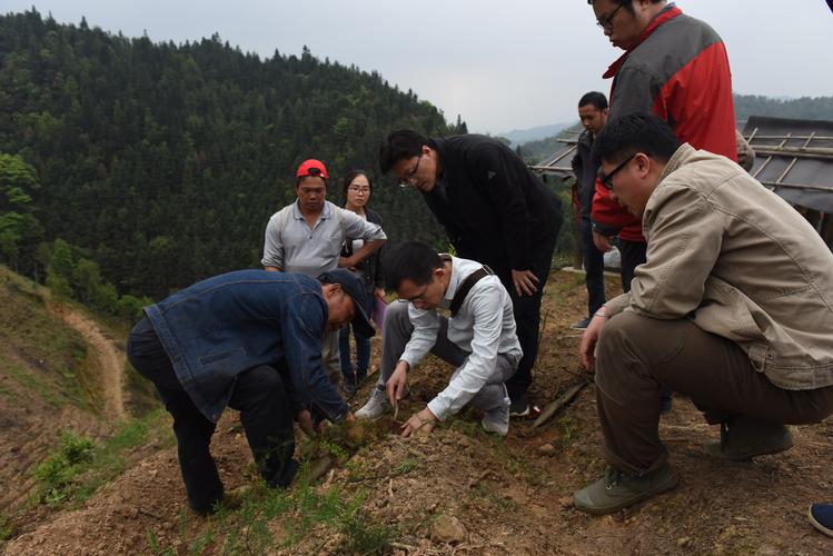 中药材种植业招聘信息-中药材种植基地招聘