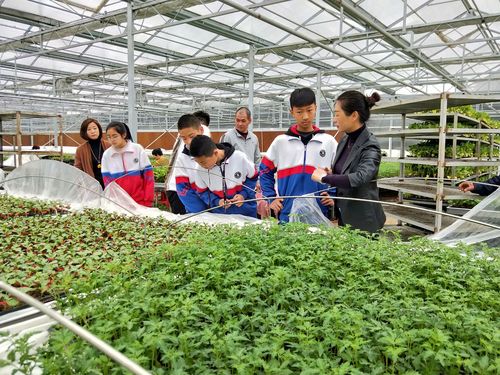 厦门种植基地招工人信息-厦门种植基地招工人信息最新