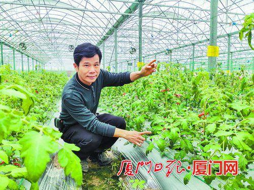 厦门种植基地招工人信息-厦门种植基地招工人信息最新