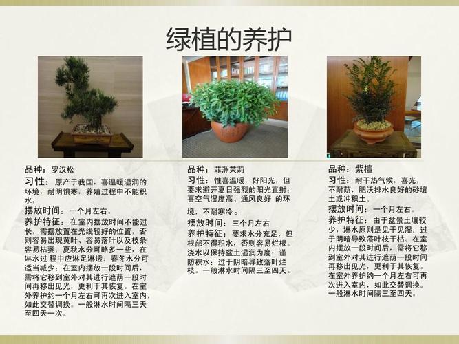 花卉养护小知识有哪些方面的内容-50种常见花卉养护方法