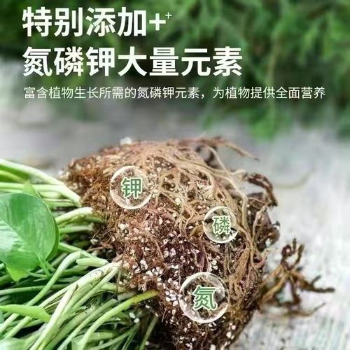 荷花土养殖方法-养荷花的土