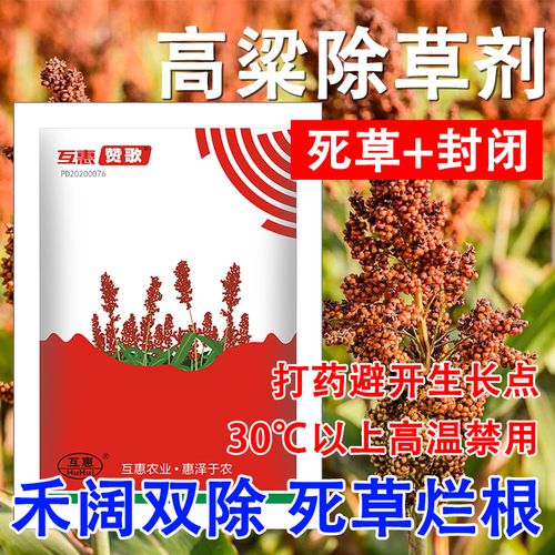 种植高粱能用草木灰吗-高粱除草用什么药