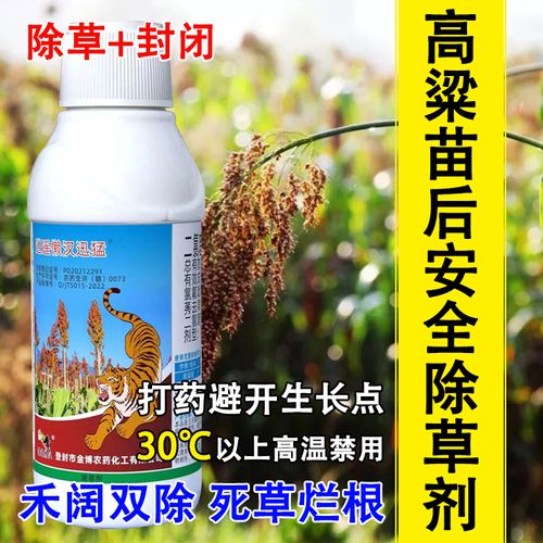 种植高粱能用草木灰吗-高粱除草用什么药