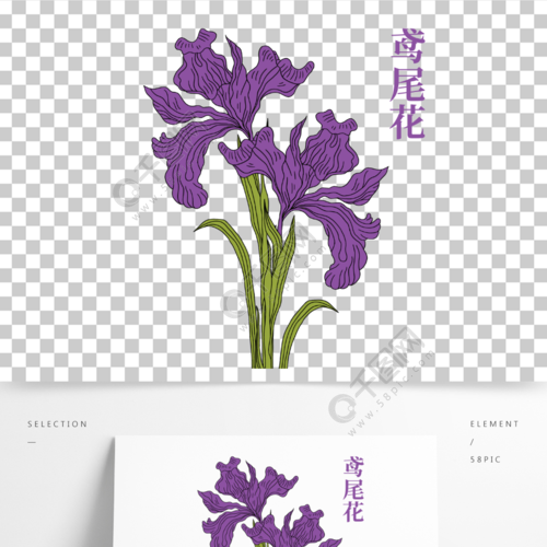 花卉知识科普插画素材高清-花卉科普书籍