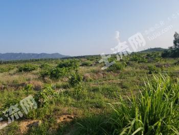 海南岛种植土地出租信息-海南租地土流网