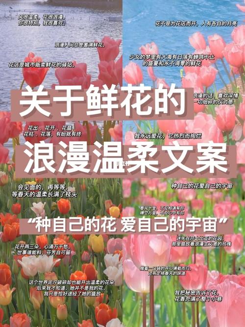 花卉知识分享音乐博主文案-花卉歌曲