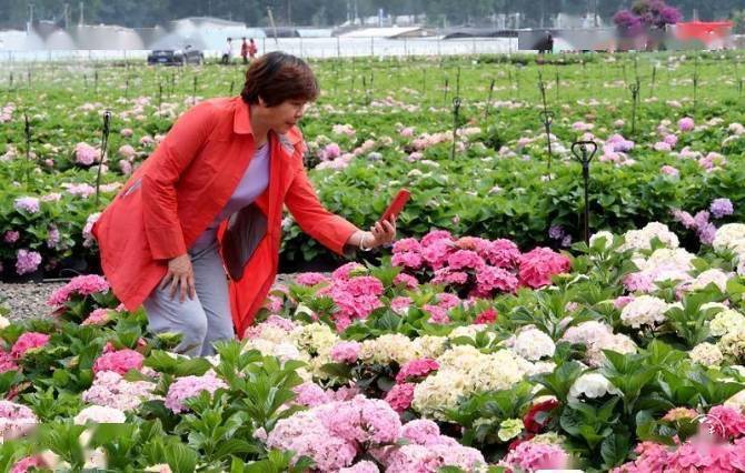 宜良县耘润种植园招聘信息-宜良果树苗圃基地地址