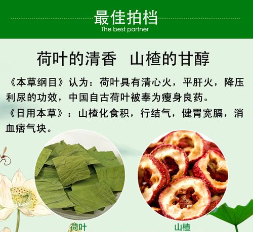 山渣子种植方法-山渣子泡水有什么功效和作用