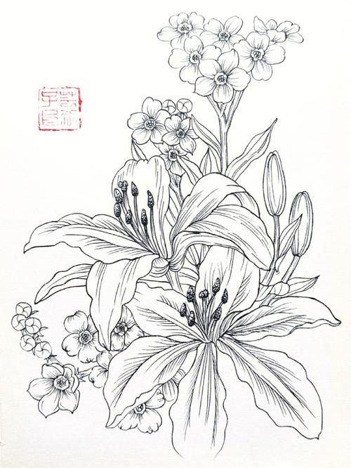 白描花卉国画入门知识点-白描花卉画法