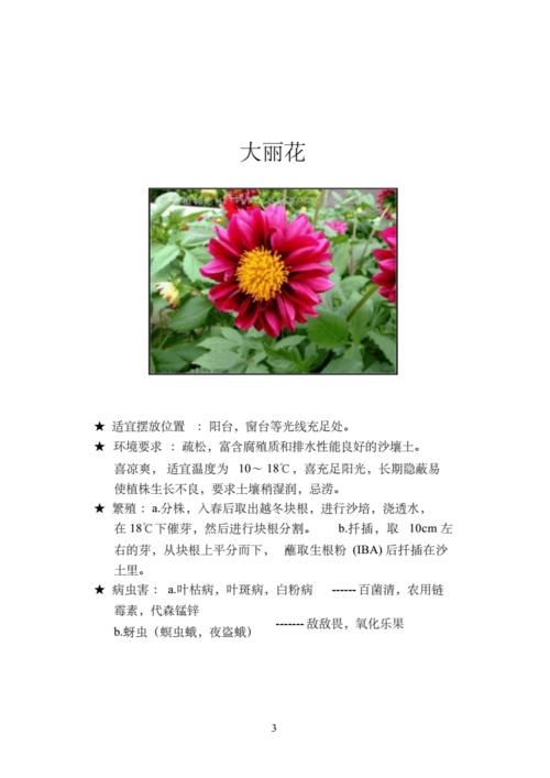 有关花卉的知识点-关于花卉的知识