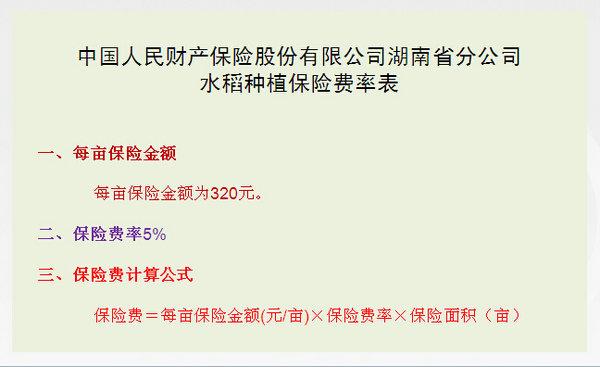 水稻种植管护招标信息公示-水稻种植管护招标信息公示网