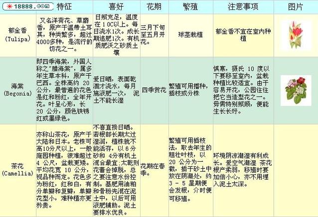 各种花卉的知识-各种花卉的知识点总结