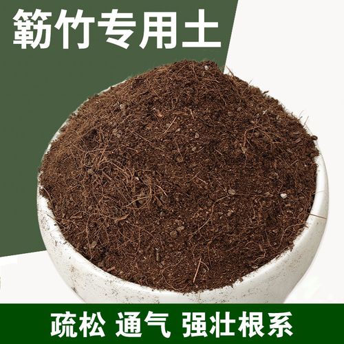 种植竹子用什么草木灰-种植竹子用什么土