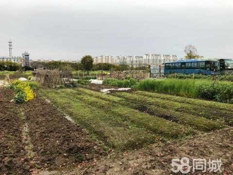 上海种植土地出租最新信息-上海土地适合种植什么