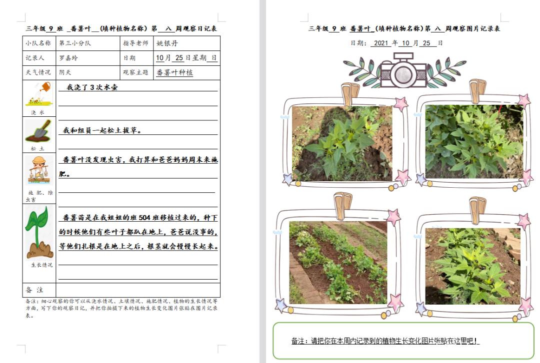 特色种植的信息，特色种植的信息有哪些