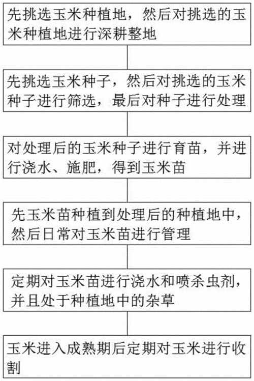 玉米种植方法，文玩玉米种植方法