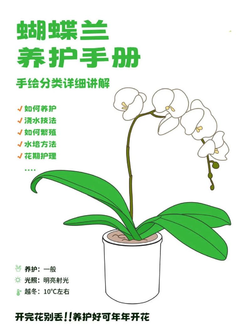 花卉养殖科普知识，花卉养殖科普知识大全