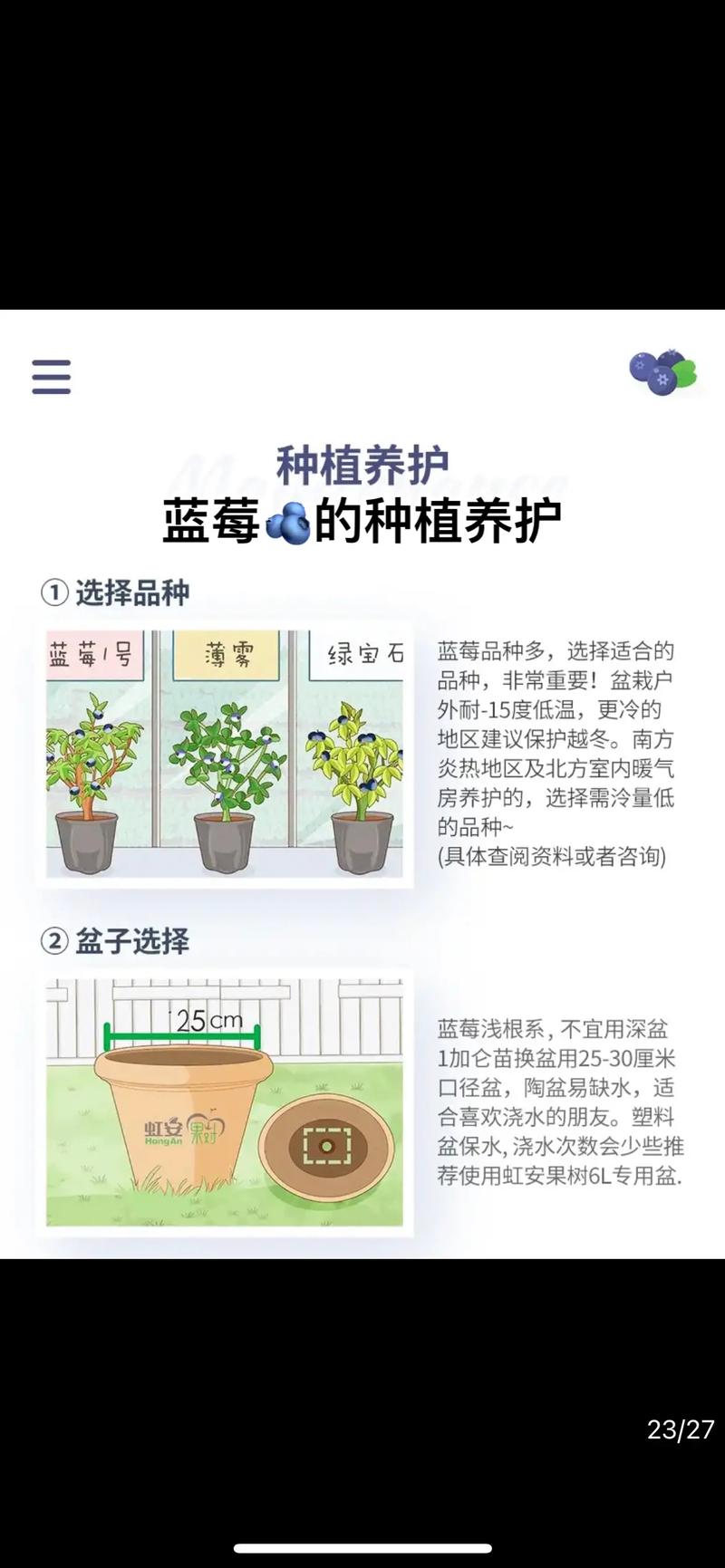 蓝莓树养殖方法，蓝莓树养殖方法和注意事项