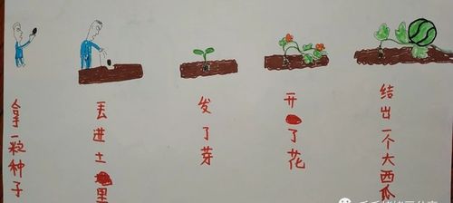 瓜子种植方法，瓜子种植方法视频教程