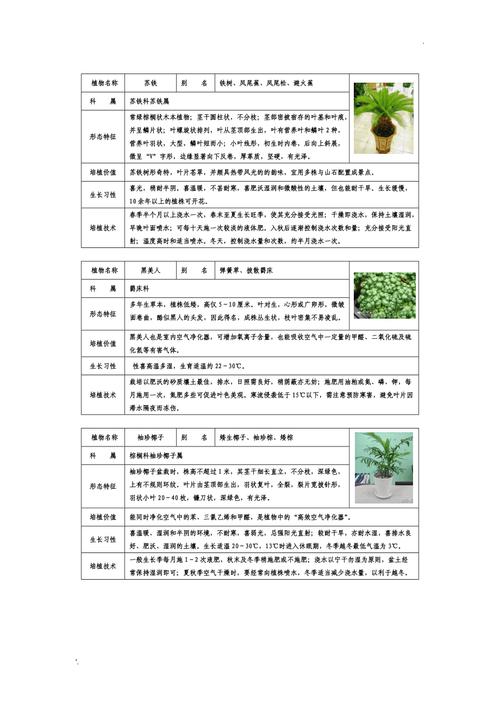 花卉绿植盆栽知识问答题-盆栽知识点