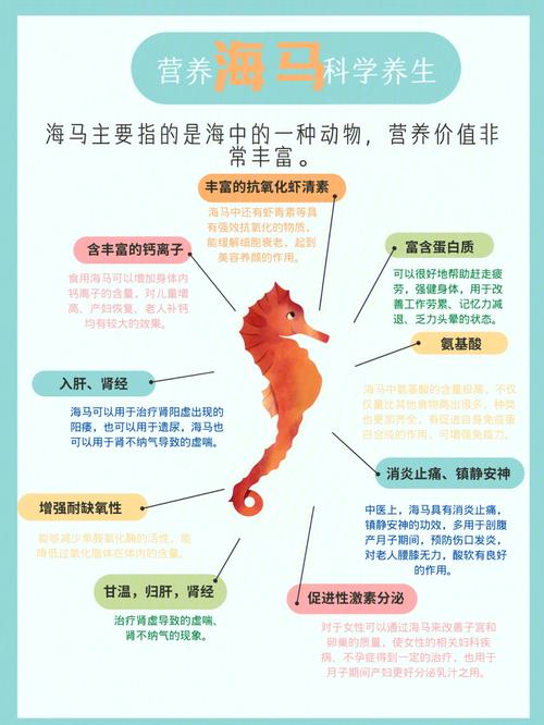 海马的养殖方法，海马的养殖方法和技术