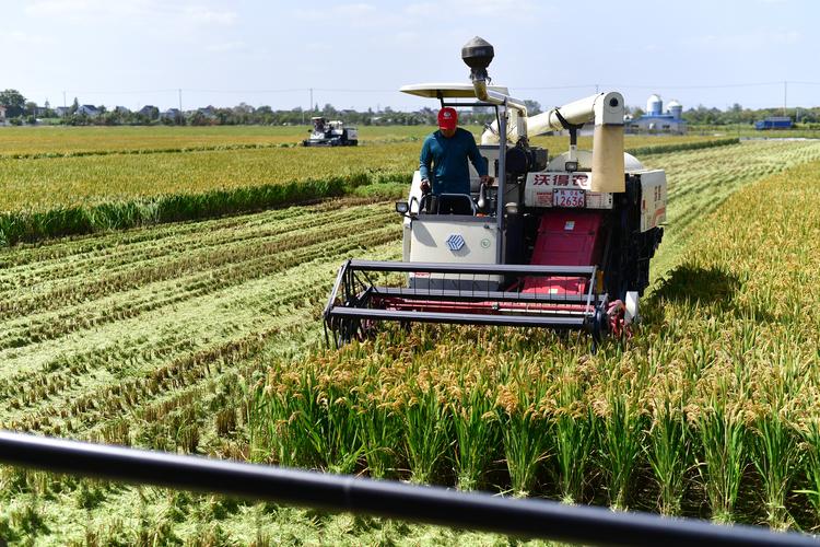 江苏种植信息查询，江苏种植信息查询官网