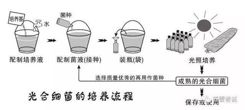 养殖菌的方法，养殖菌的方法有哪些