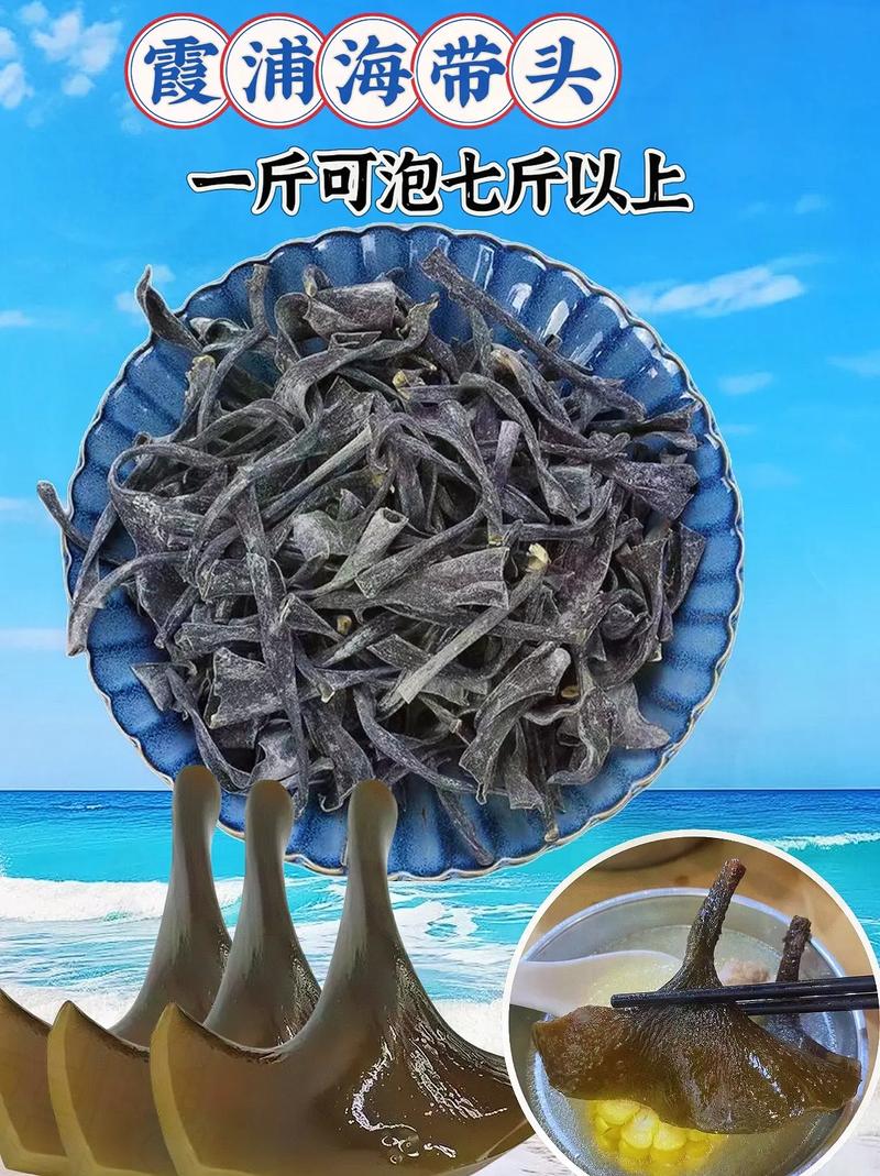 海带种植方法，海带种植方法和步骤