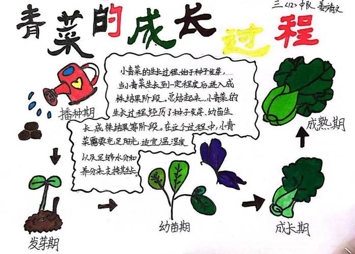 小学种植活动信息，小学种植活动信息简报