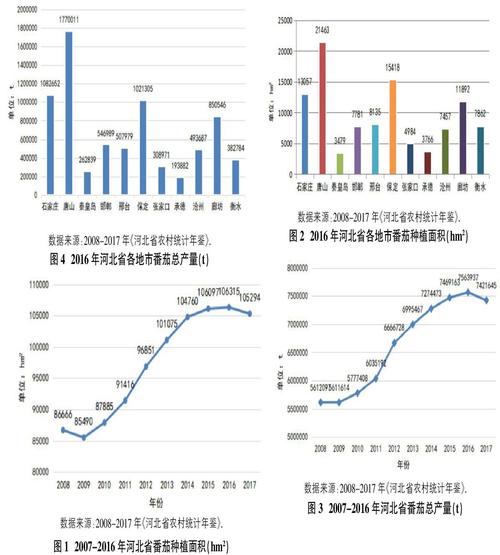 西红柿种植户信息，西红柿种植情况