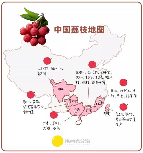 全国荔枝种植信息，全国荔枝种植信息网官网