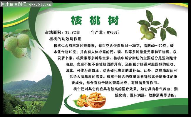 核桃树的种植方法，核桃树的种植方法及管理