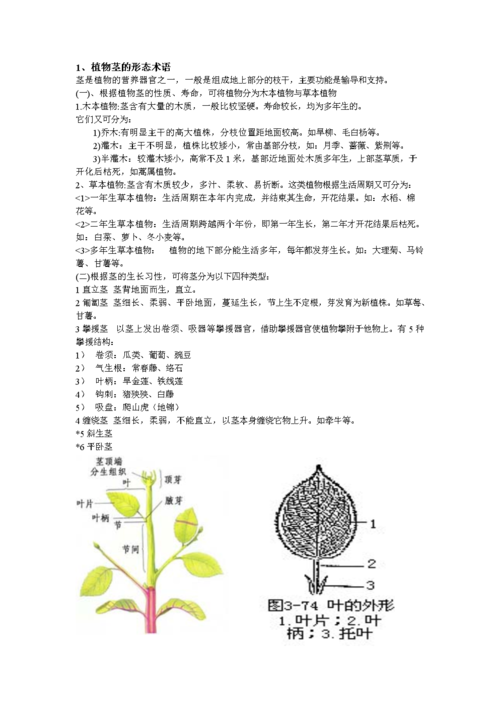 花卉科学基础知识，花卉科学基础知识培训