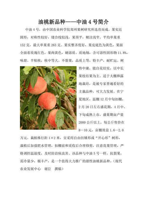 种植油桃相关信息，种植油桃相关信息介绍