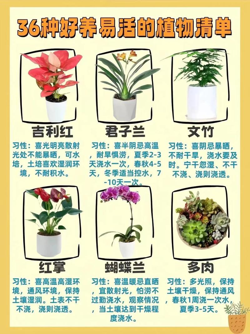 花卉种植需要哪些知识，花卉种植需要哪些知识和技能