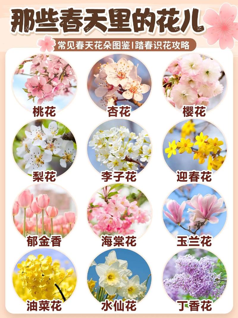 最全花卉知识介绍-花卉知识知多少