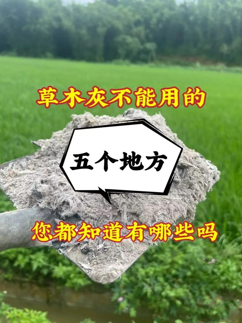 广西种植草木灰的地方在哪里，广西种植草木灰的地方在哪里啊