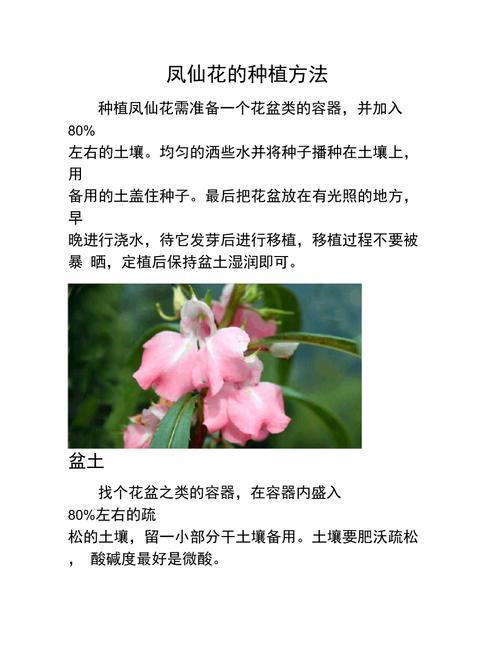 凤仙花怎么种植方法，凤仙花怎么种植方法视频