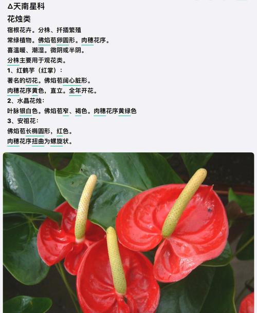 花卉培训学些什么知识，花卉培训学些什么知识好